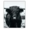 HOOGLAND 1